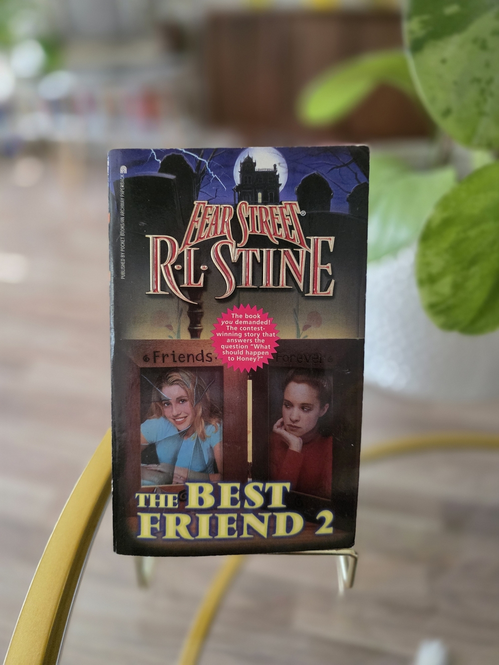 Fear Street The Best Friend 2 - Paperback